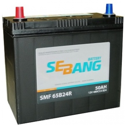 Аккумулятор SEBANG 50 А/ч SMF 65B24R 238x129x225 EN480 высокий тонк кл 